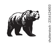 bear vector illustration, logo design