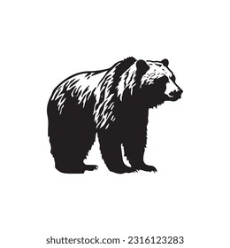 Bear vector illustration, logo design 