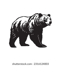 bear vector illustration, logo design