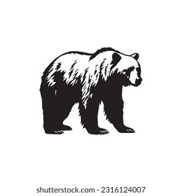 bear vector illustration, logo design