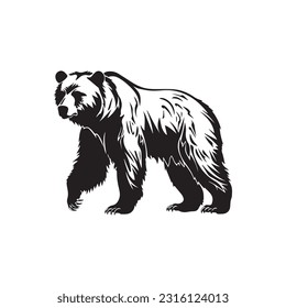 bear vector illustration, logo design