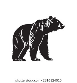 bear vector illustration, logo design