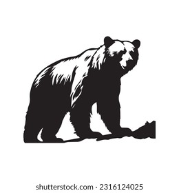 bear vector illustration, logo design