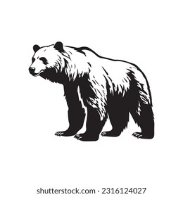 bear vector illustration, logo design