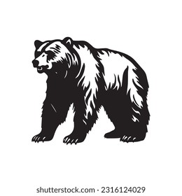 bear vector illustration, logo design