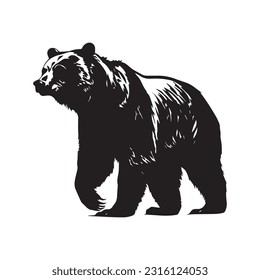 bear vector illustration, logo design