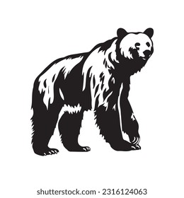 bear vector illustration, logo design