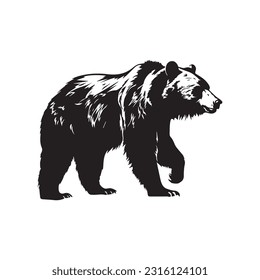 bear vector illustration, logo design