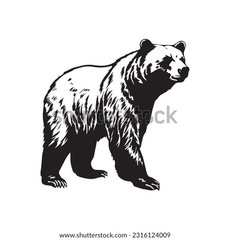 bear vector illustration, logo design