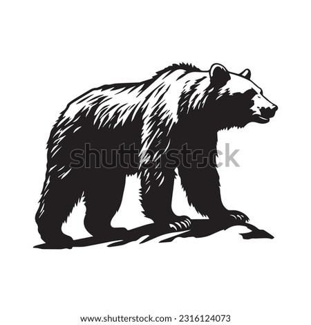bear vector illustration, logo design