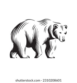 Bear Vector illustration. Bear Vintage Logo