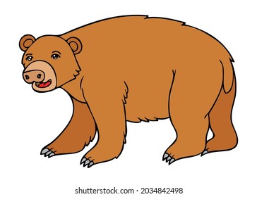ilustración portadora vectorial, aislada en fondo blanco, vista superior