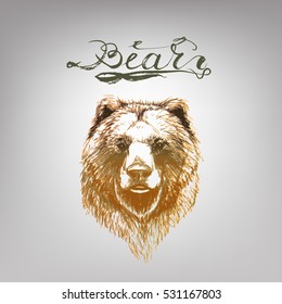 bear vector  lettering