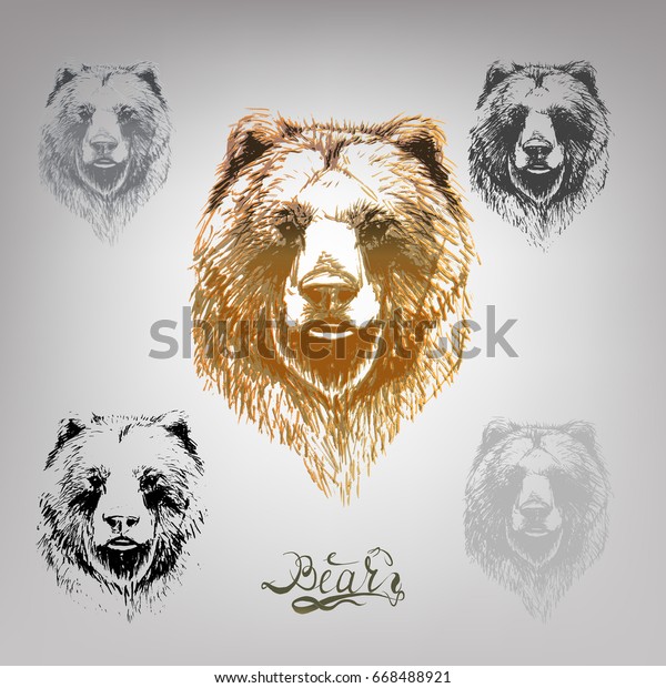 Bear Vector Lettering Stock Vector (Royalty Free) 668488921