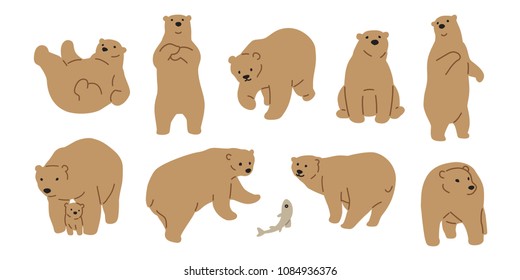 Bear vector polar Bear icon logo illustration character doodle brown