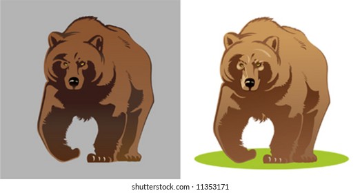 Bear, vector schematic Illustration.