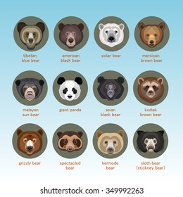 Bear Vector Set. Flat Style. Breeds Of Bears. Species Of Bears.