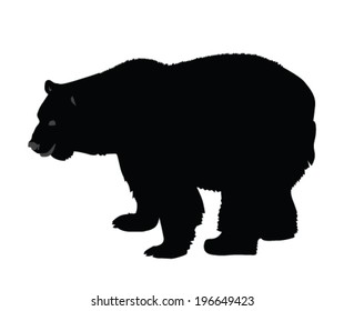 bear vector silhouette