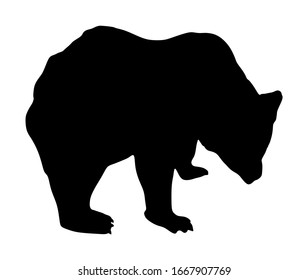 Bear vector silhouette illustration isolated on white background. Grizzly symbol. Big animal, nature wildlife concept. Shape bear shadow.