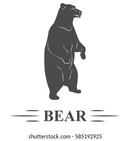 bear vector, standing bear looks into the distance, on a white isolated background. T - print