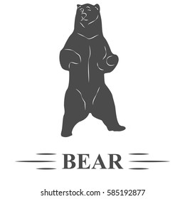 bear vector, standing bear, watching, white background isolated. T - print