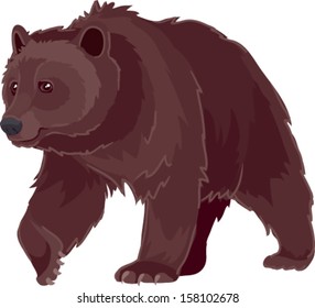 Bear vector technology is designed