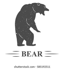 bear vector, vintage, attack, attack bear isolated on a separate white background. T - print t-shirt, icon, wild