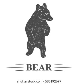 bear vector, vintage, bear rested, he thought, looking, white background, isolated. T - print, texture, logo, icon, sticker, label.