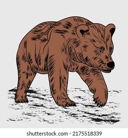 Bear Vectors art, Drawing, Outline, Illustration For T shirt Design