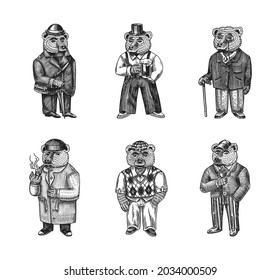 Bear in vintage costume with beer. Fashion animal character in tweed jacket. Hand drawn sketch. Retro look. Vector engraved illustration for logo and tattoo or T-shirts.