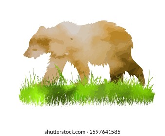 Bear in watercolor on the grass. hand drawing. Not AI, Vector illustration.