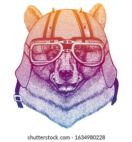 Bear wearing motorcycle helmet. Speed and road. Vintage style vector illustration. Face of dangerous wild animal. Portrait head of biker.