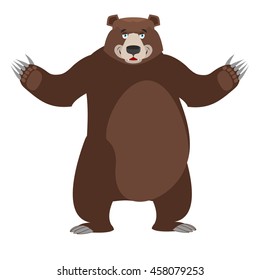 Bear in white background. Good happy wild animal. Forest beastl with brown fur. Big grizzly isolated. Large power predator standing on hind legs