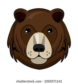 Bear Wild animal