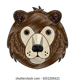 Bear Wild animal