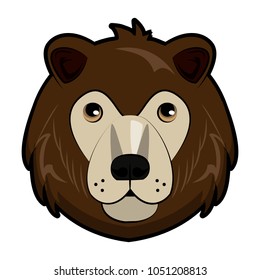 Bear Wild animal