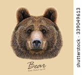 Bear wild animal face. Grizzly cute brown bear head portrait. Realistic fur portrait of brown large bear isolated on beige background. 