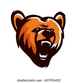 Bear Wild Animal Head Mascot Vector Illustration