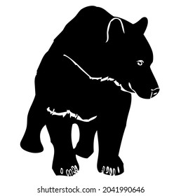 Bear, wild animal living in forest, wildlife, beast, predator, carnivore, mammal, vector, illustration in black and white color, isolated on white background 