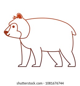 Bear wild animal on red lines