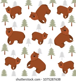 bear wild animal with pine tree background