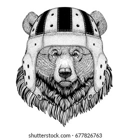 Bear Wild animal wearing rugby helmet Sport illustration