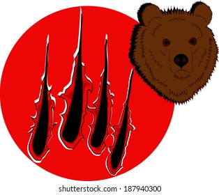 Bear wild grizzly nature scratches vector predator animal