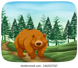 Bear in the wild illustration