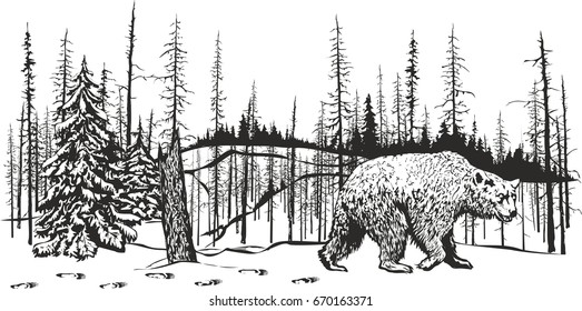 Bear in the winter forest.