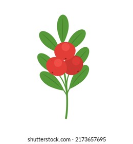 Bearberries with leaves isolated on white background. Arctostaphylos uva-ursi, kinnickinnick or bearberry red berries icon for package design. Vector berries illustration in flat style.