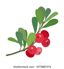 2,072 Bearberry fruits Images, Stock Photos & Vectors | Shutterstock