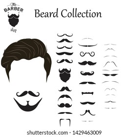 Beard Collection Set of isolated vector beard style. Vector illustration design