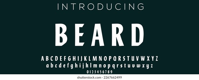 Beard, an elegant font. modern typeface vector design