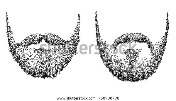 Beard illustration, drawing, engraving, ink, line\
art, vector